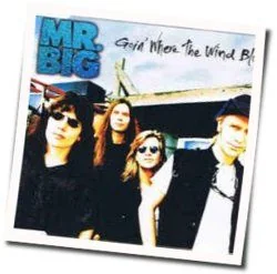 Goin Where The Wind Blows Chords by Mr. Big