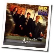 Not One Night Tab by Mr. Big