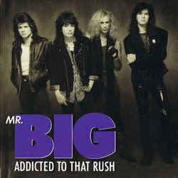 Addicted To That Rush Bass tabs by Mr. Big