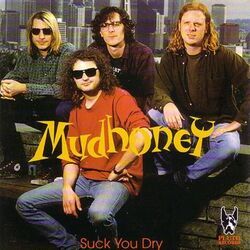 Suck You Dry Tabs by Mudhoney