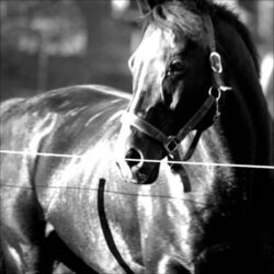 Yhden Kerran Chords by Muhoksen Allani