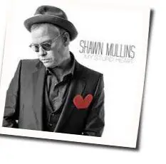 My Stupid Heart by Shawn Mullins