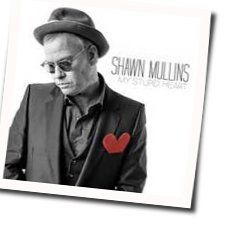 My Stupid Heart Chords by Shawn Mullins