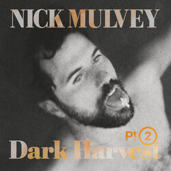 Every Open Heart Chords by Nick Mulvey