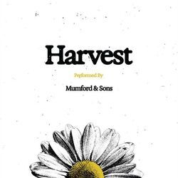 Harvest Chords by Mumford & Sons
