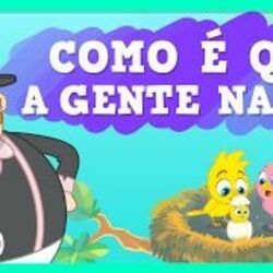 Como é Que A Gente Nasce by Mundo Bita