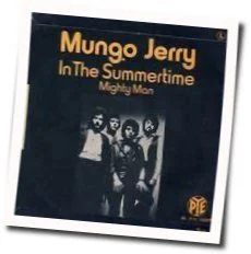 In The Summer Time Tab by Mungo Jerry