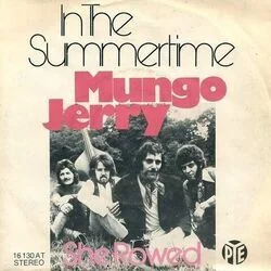 In The Summertime Bass Tab by Mungo Jerry