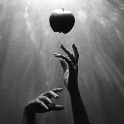 Forbidden Fruit Chords by Munn