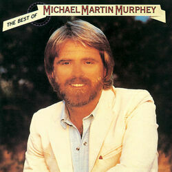 Don't Count The Rainy Days by Michael Martin Murphey