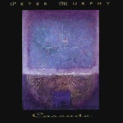 Mercy Rain Bass Tab by Peter Murphy
