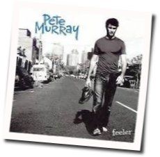 So Beautiful Chords by Pete Murray