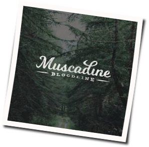 Can't Tell You No by Muscadine Bloodline