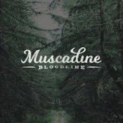 Crickets And Cane Poles Chords by Muscadine Bloodline