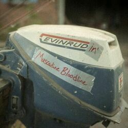 Evinrudin Chords by Muscadine Bloodline