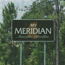 My Meridian Chords by Muscadine Bloodline