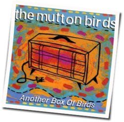 Small Mercies Chords by The Mutton Birds