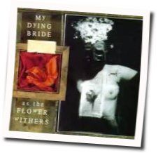 The Forever People Tabs by My Dying Bride