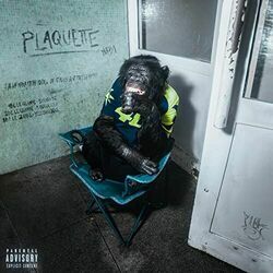 Plaquette Chords by Nabi
