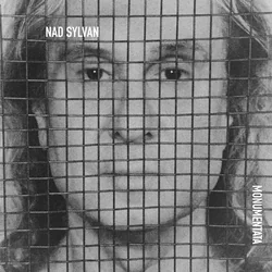 Wildfire Chords by Nad Sylvan