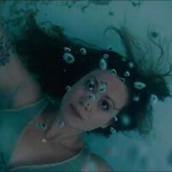 The Wrecking Ball Company by Marissa Nadler