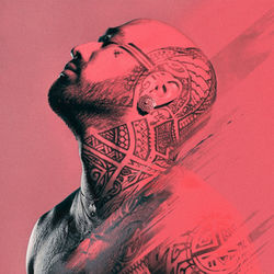 Twisted Chords by Nahko And Medicine For The People