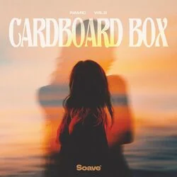 Cardboard Box Chords by Namic & Wils