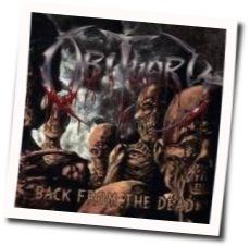 Back From The Dead Tab by Napalm Death