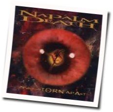 Birth In Regress Tab by Napalm Death