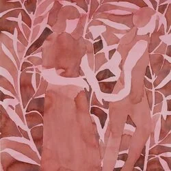 rose and pink