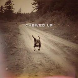 Chewed Up Chords by Nate Good