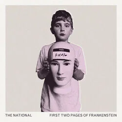 Eucalyptus Chords by The National