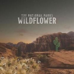 Blue Moonlight Chords by The National Parks