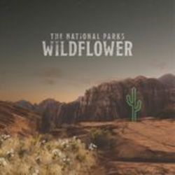 Many Moons Chords by The National Parks