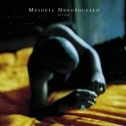 Faithful Tab by Meshell Ndegeocello