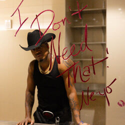 I Don't Need That Chords by Ne-Yo