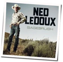 We Ain't Got Much Of Nothing Acoustic Chords by Ned LeDoux