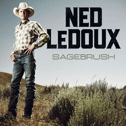 By My Side by Ned LeDoux