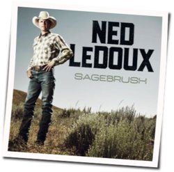 We Ain't Got Much Of Nothing Acoustic Chords by Ned LeDoux