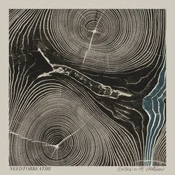 Feet Don't Fail Me Now Chords by NEEDTOBREATHE