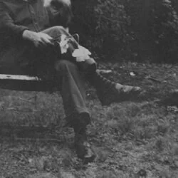 Growing Slow Chords by NEEDTOBREATHE