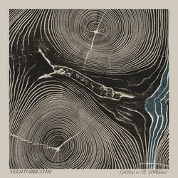 Feet Don't Fail Me Now Tabs by NEEDTOBREATHE