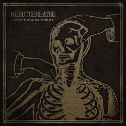 I Don't Wanna Worry by NEEDTOBREATHE