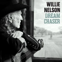 Developing My Pictures by Willie Nelson