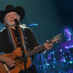 Back To Earth by Willie Nelson