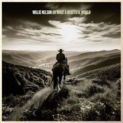 Forty Miles From Nowhere Chords by Willie Nelson