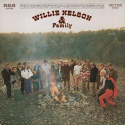I Can Cry Again Chords by Willie Nelson