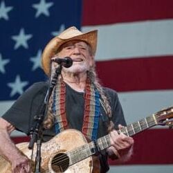 Made In Texas by Willie Nelson