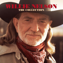 My Heroes Have Always Been Cowboys Chords by Willie Nelson