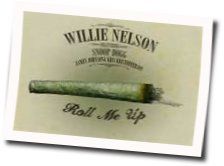 Roll Me Up And Smoke Me When I Die by Willie Nelson